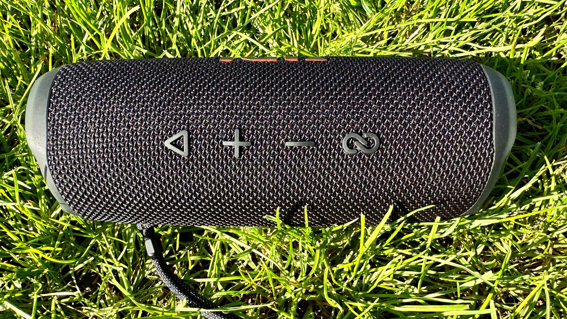 JBL Flip 6 in the grass